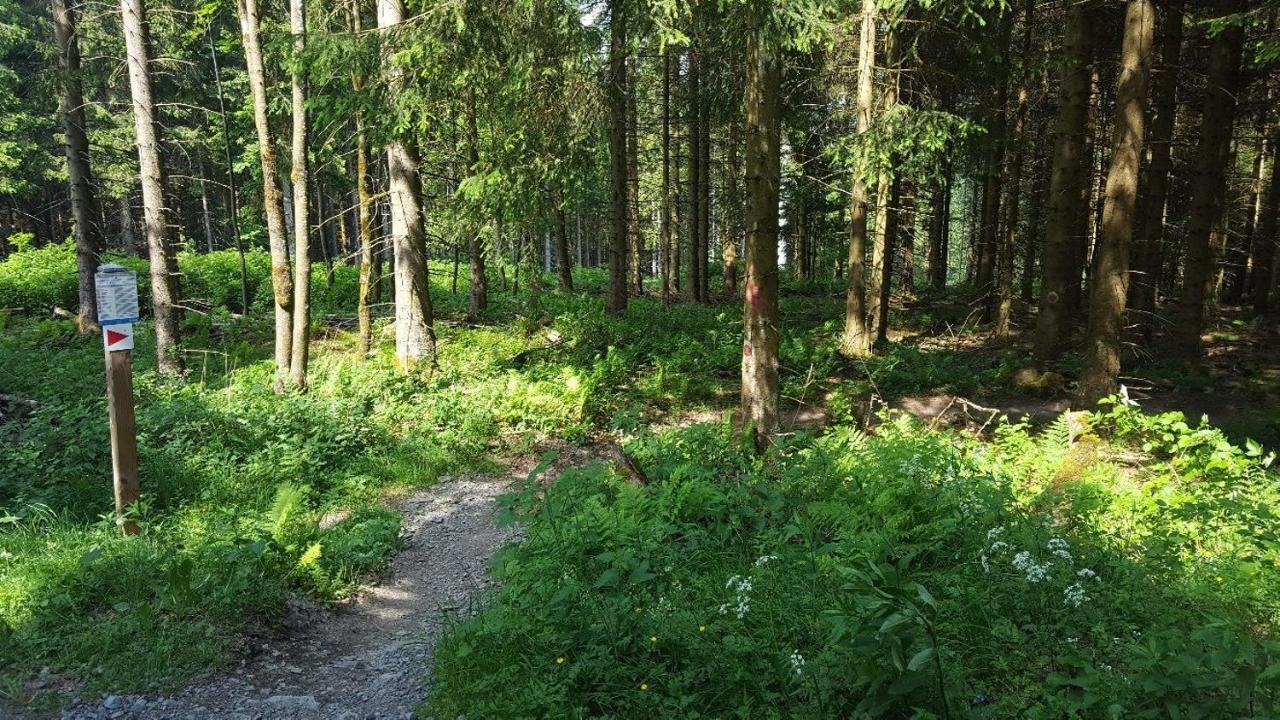 Ferienwohnung Little Home In Winterberg-Neuastenberg Exteriör bild
